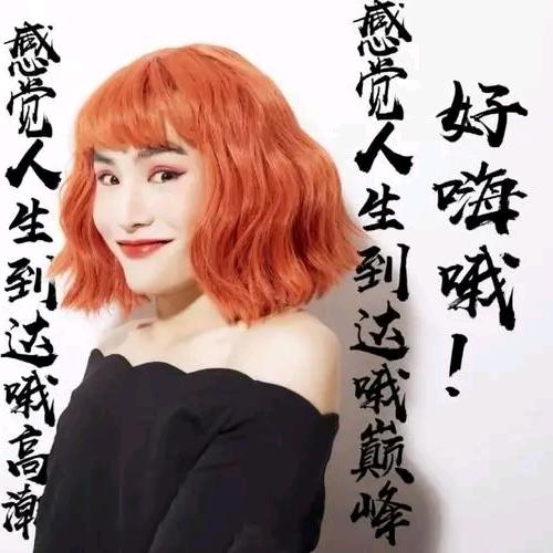 毛毛姐【直播好物分享】