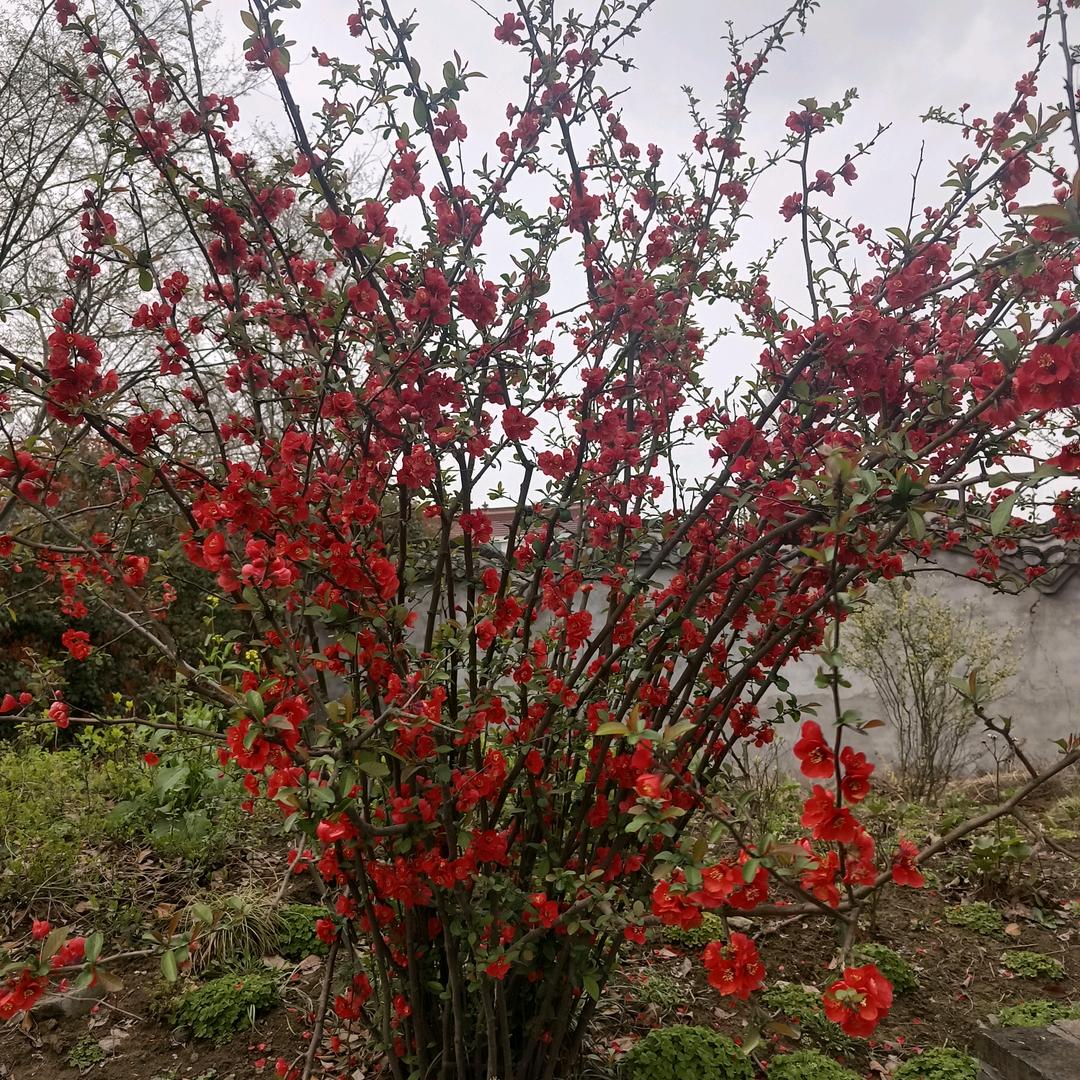 你好我好大家都好
