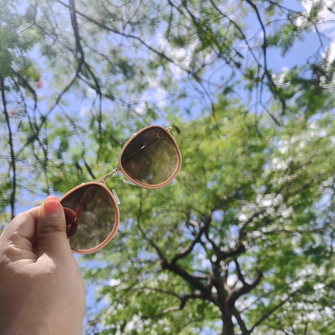 🍋🍋橘子🍊🍊