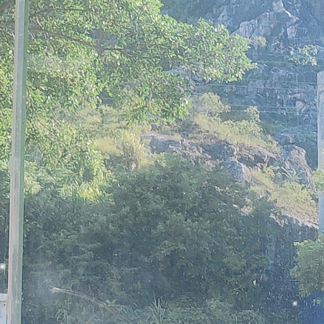 《微尘》