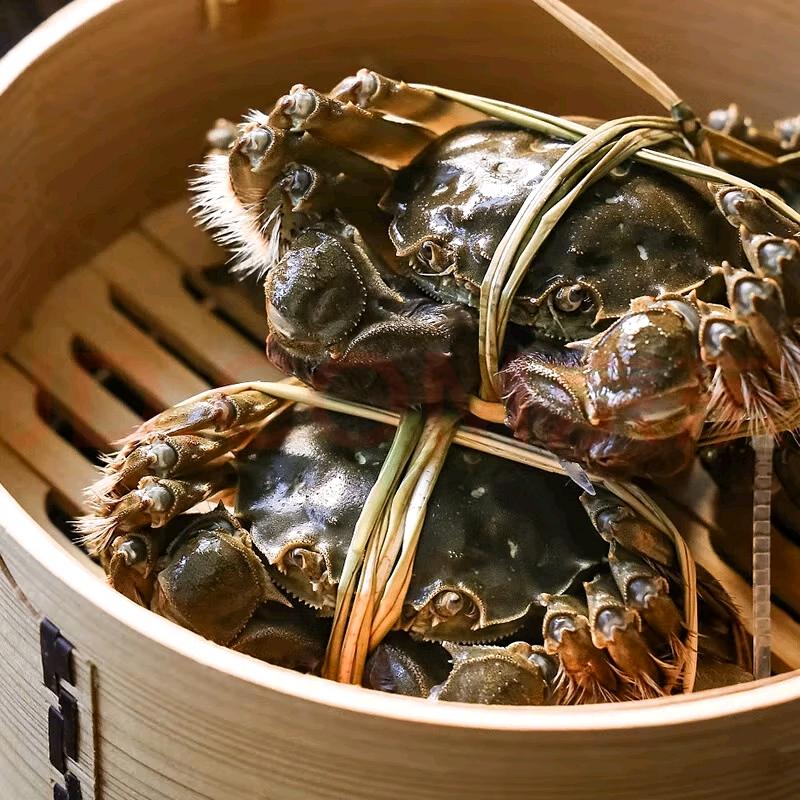 洪泽湖金标大闸蟹 礼盒装