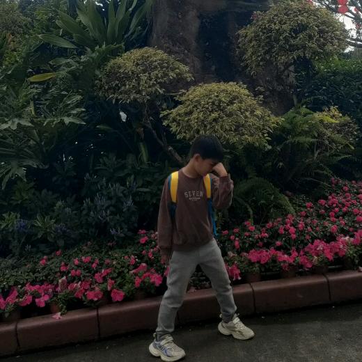 ⚡开心果⚡🐬小苹果🐬