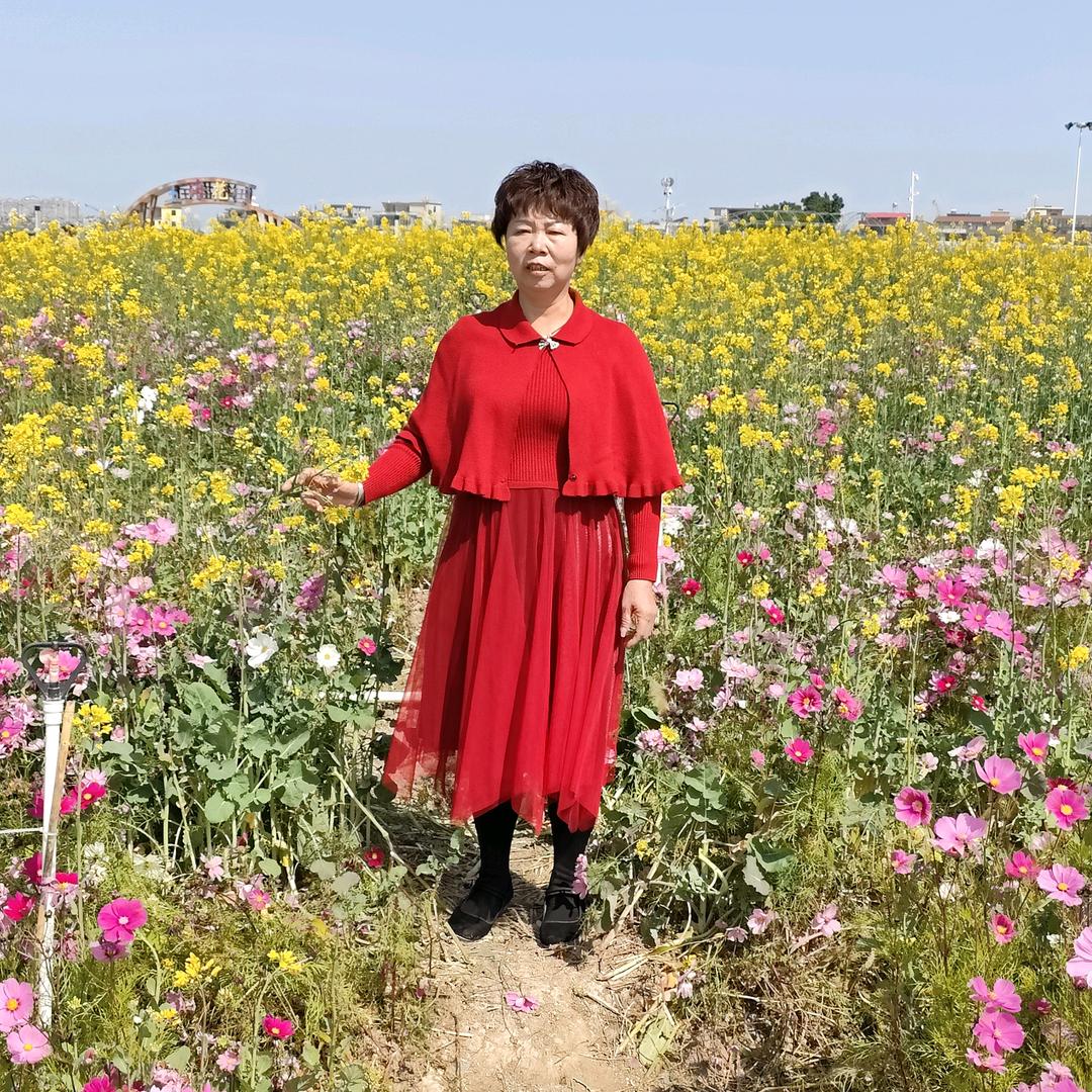 美好人生
