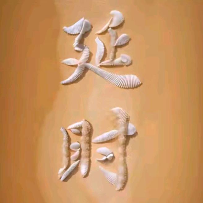 静姐，休龟儿