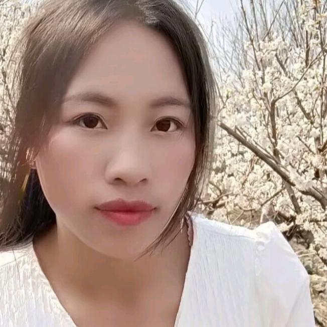 东方小凤
