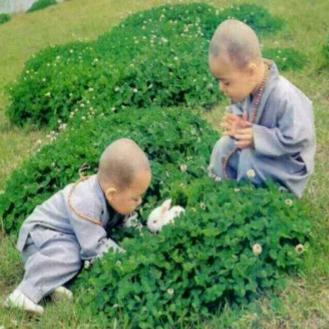 一切忘完，，，