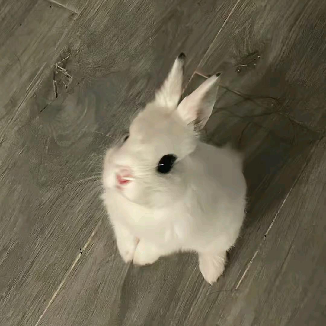 yyb