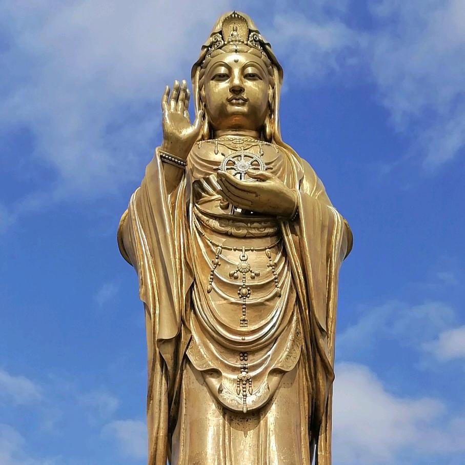 龙的传人兔