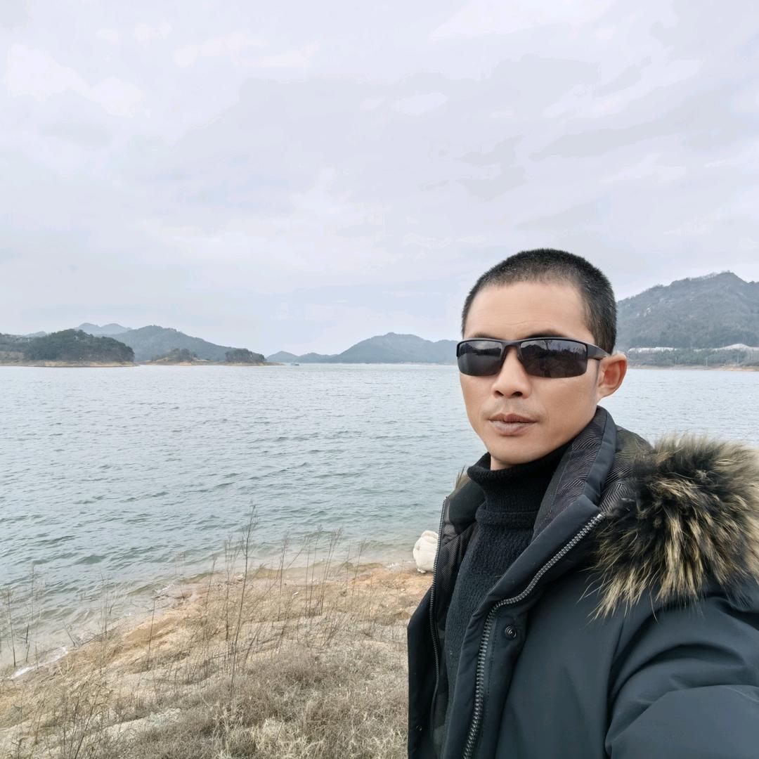自由的风