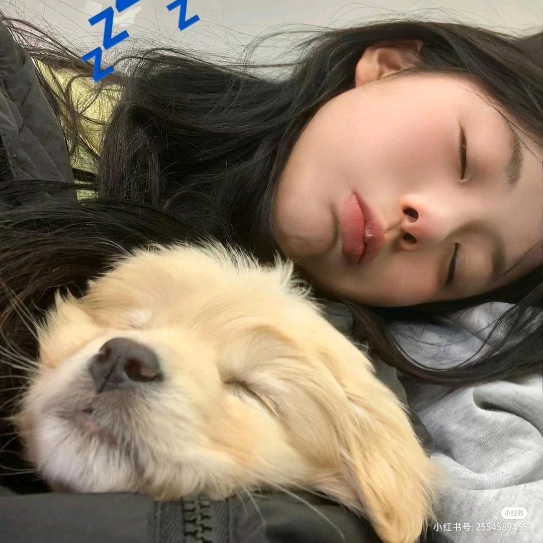 发福奥利奥୧⍤⃝