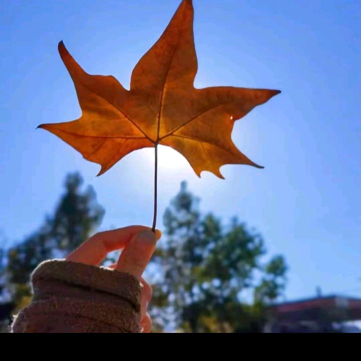 ღ᭄💞傻丫头໑💕