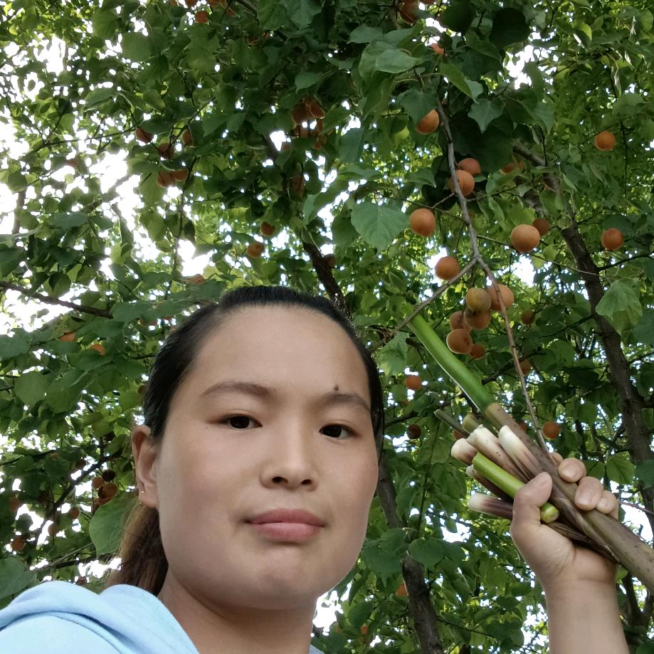 💃💃💃梅