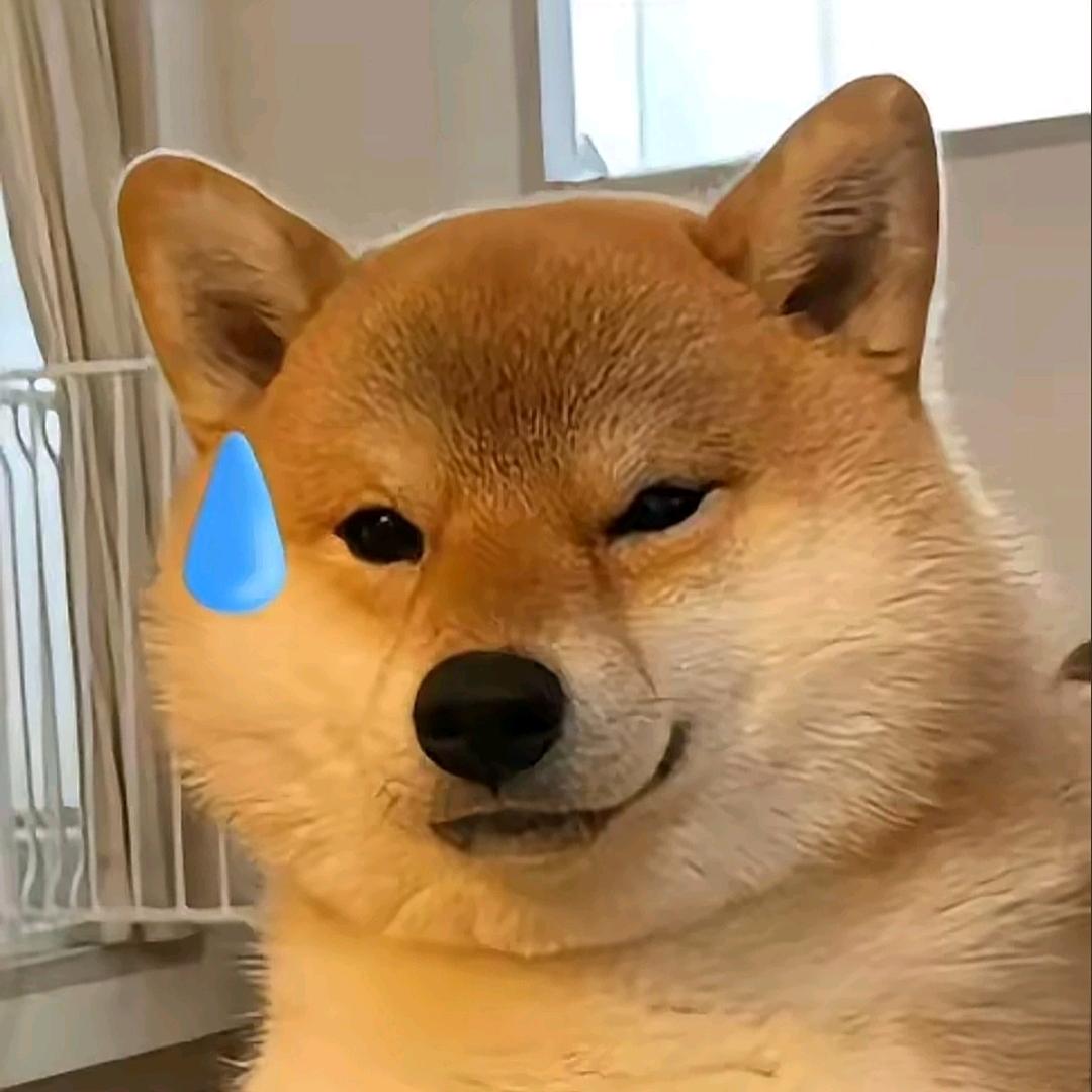 二猪