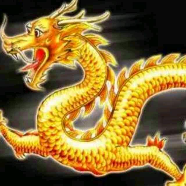 古月成🐉💥