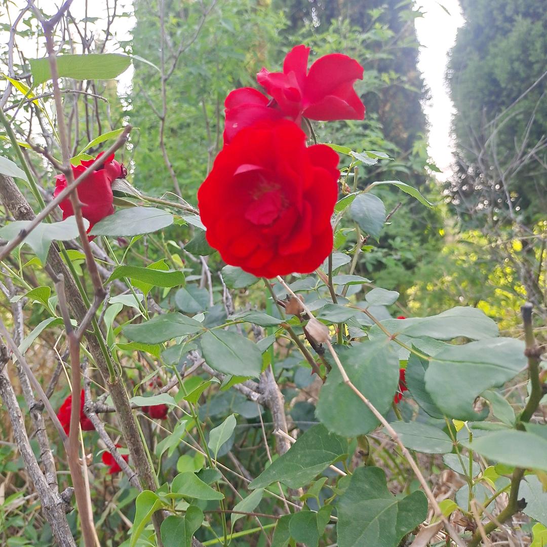 ℋღ᭄忘记过去丛新开始💞࿐