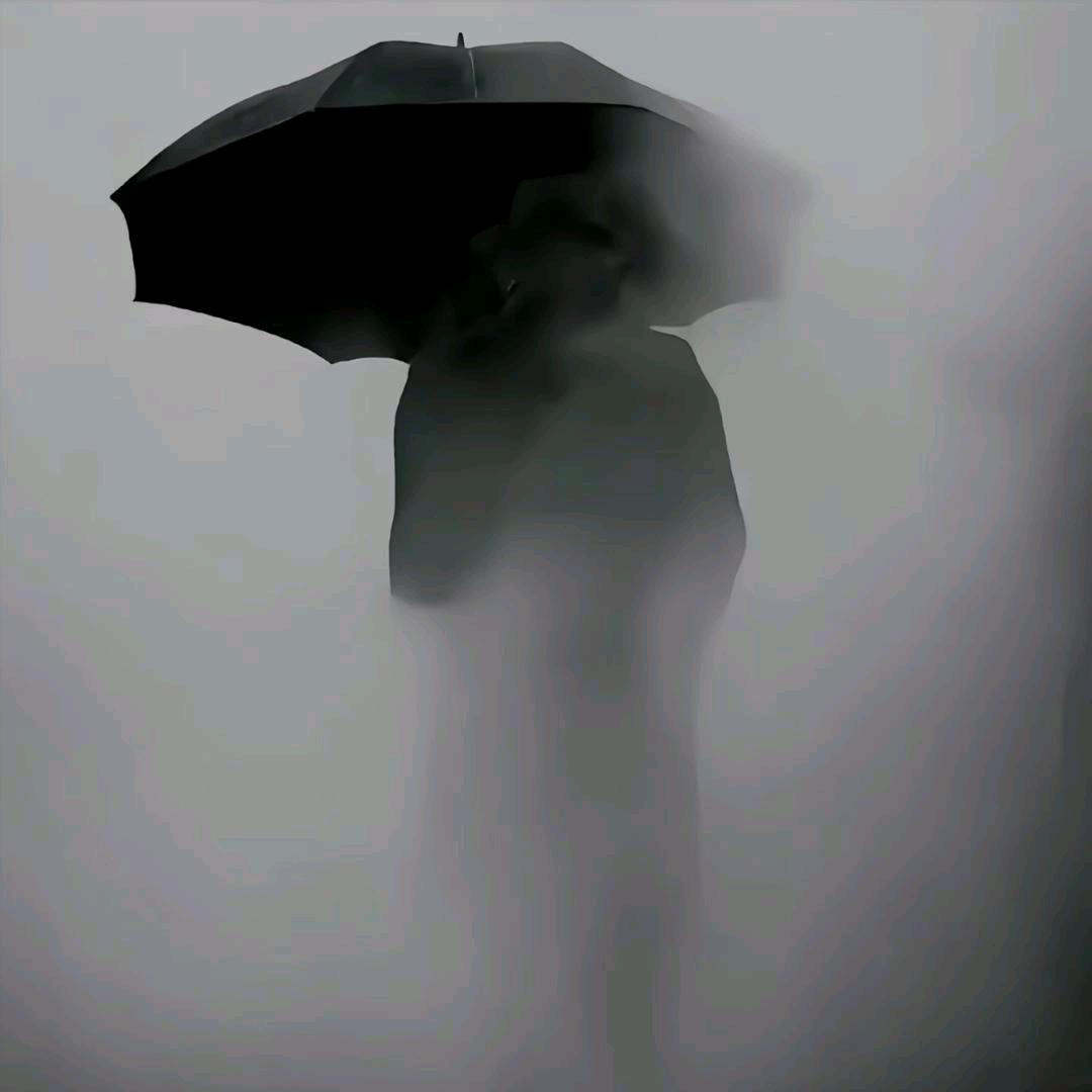 💫三里清风三里路