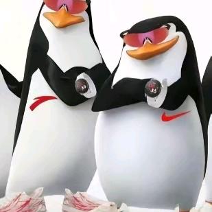 康少（师哥困容山