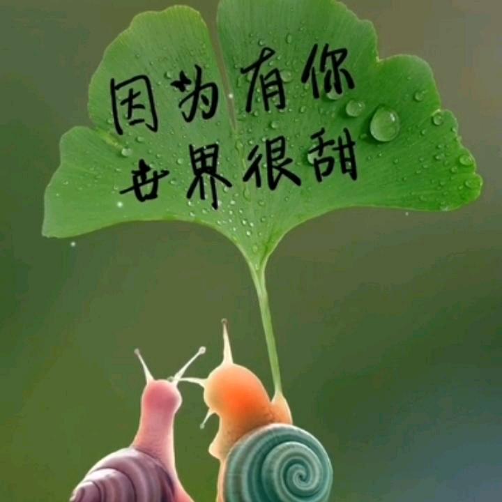 王哪走   吖
