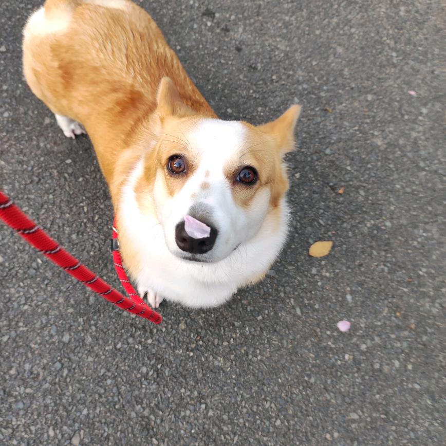 ^O^健康平安^O^