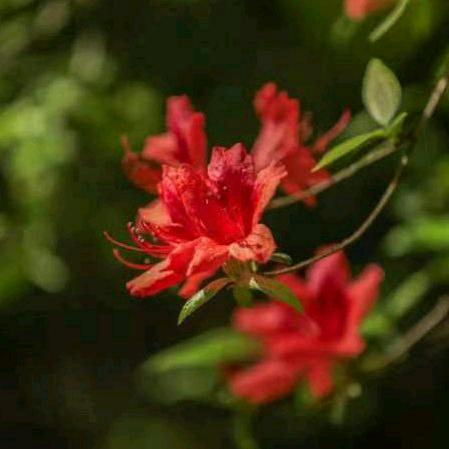 忍不住回眸一笑