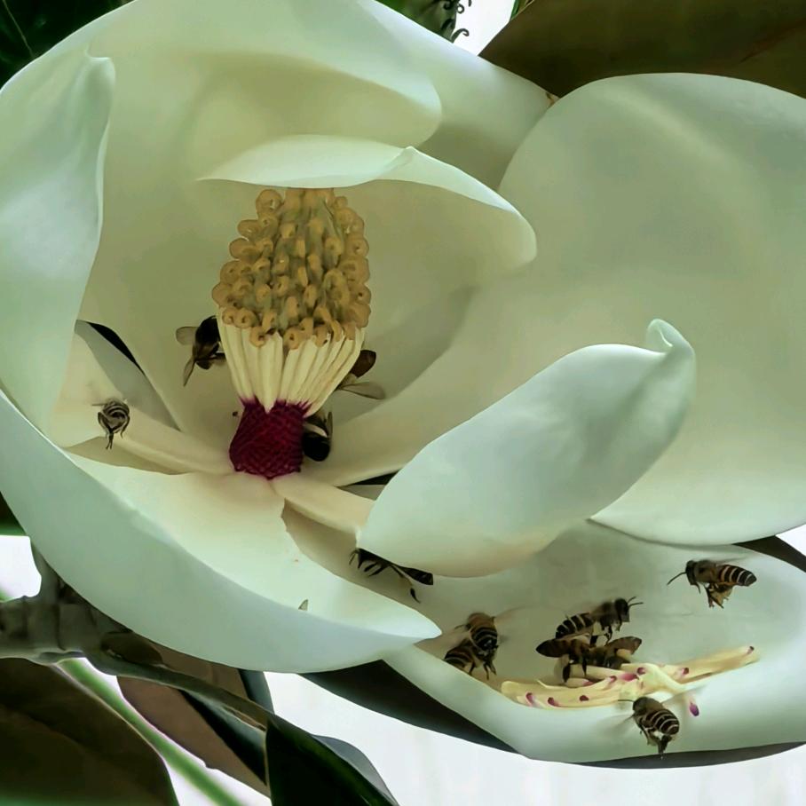 哥，你好坏哟。