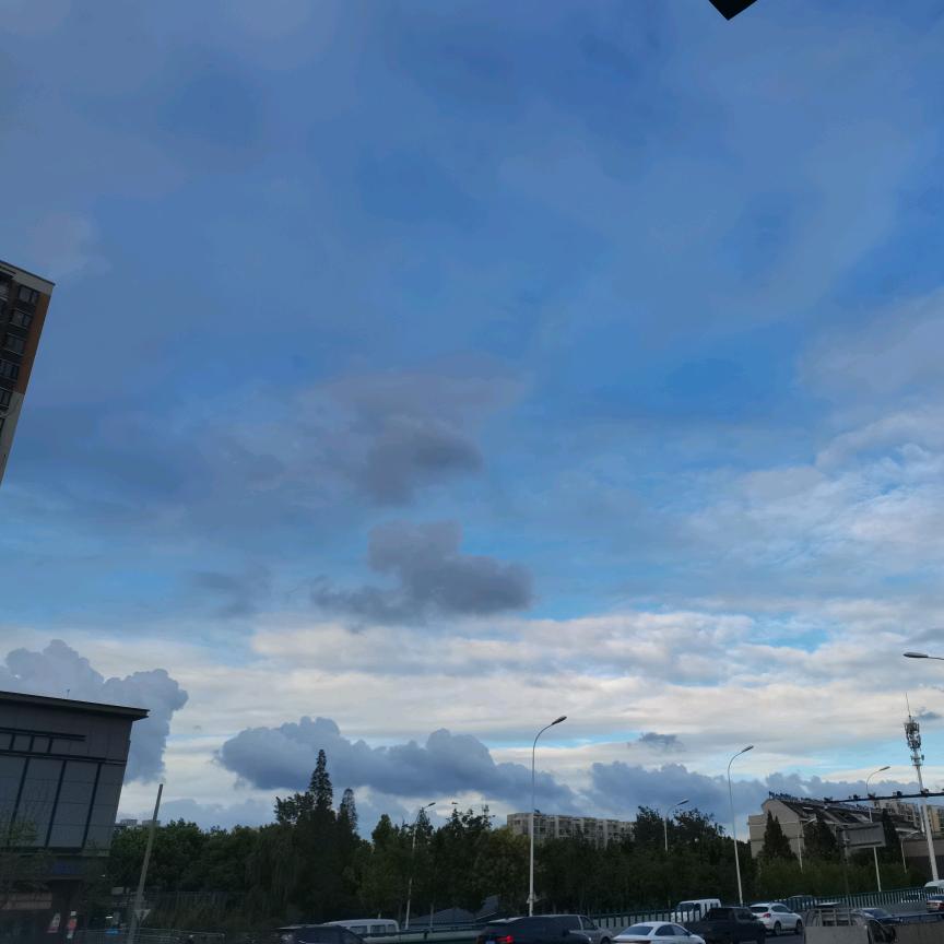 小叶天天开心🍃