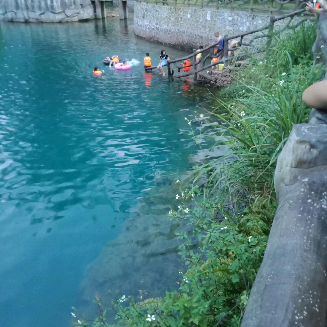 佳佳