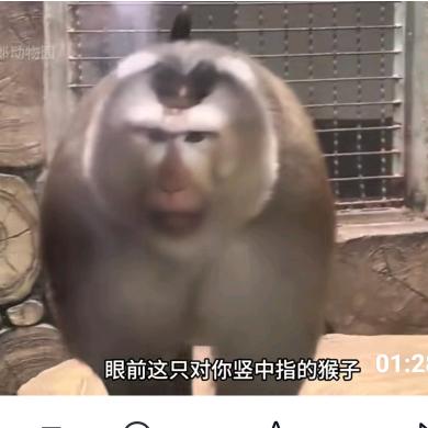 吃溜溜梅吗你