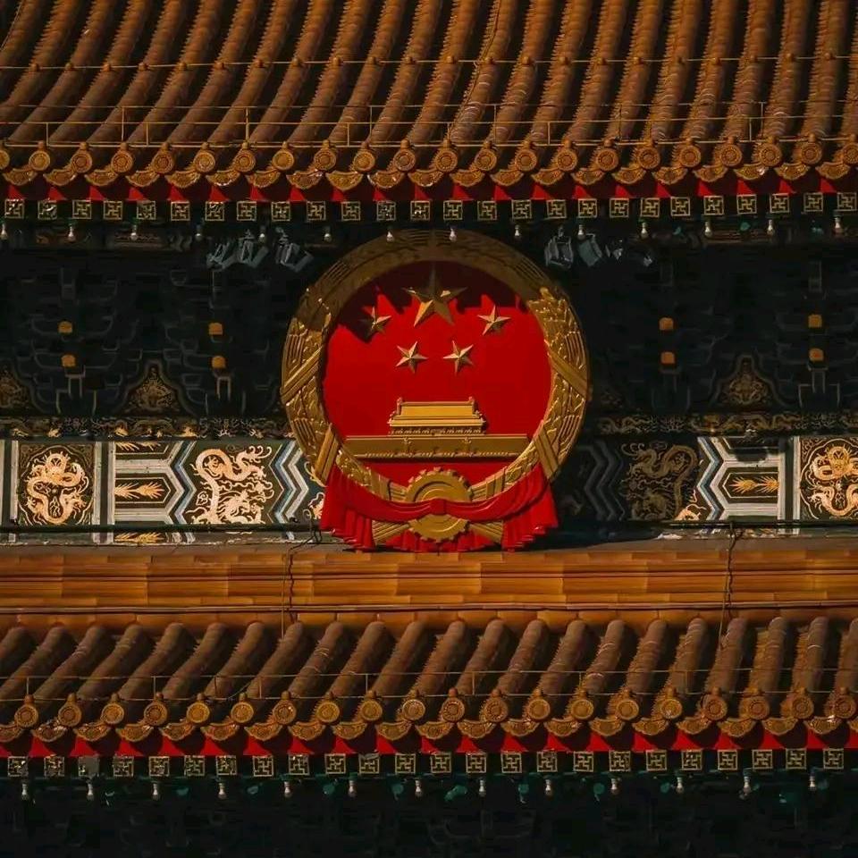 黎时卿🎸（宁芙奖请投红夫人）
