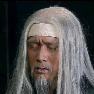 诸葛传人