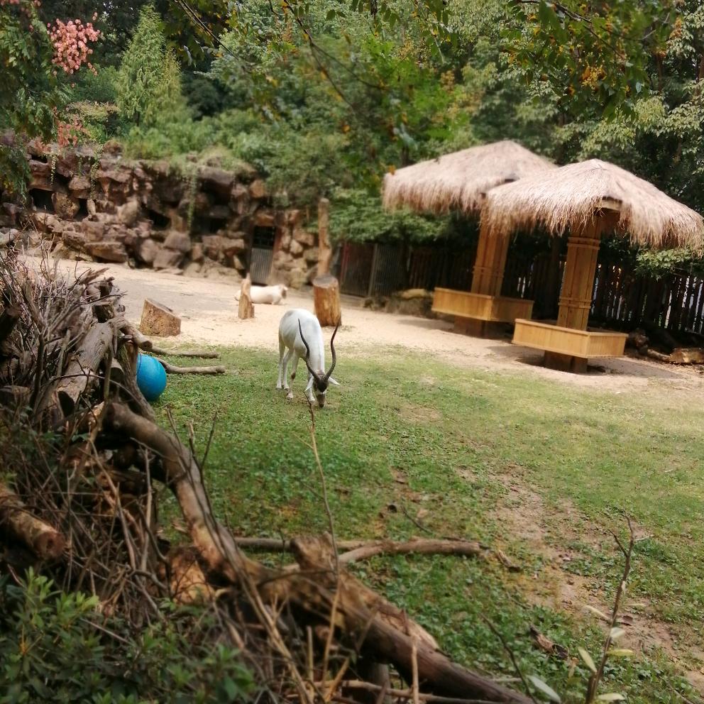 用户4816293901674