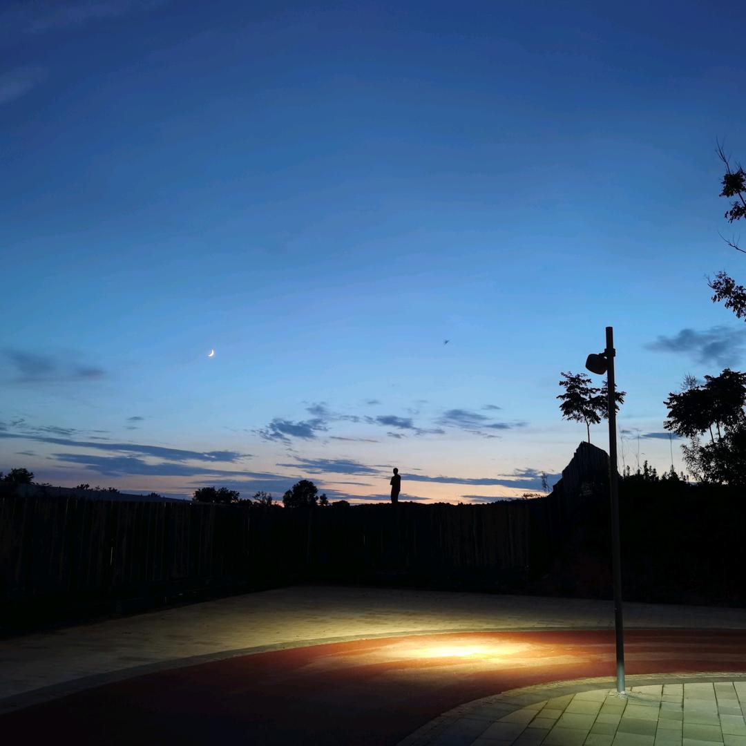 梦里不知身是客