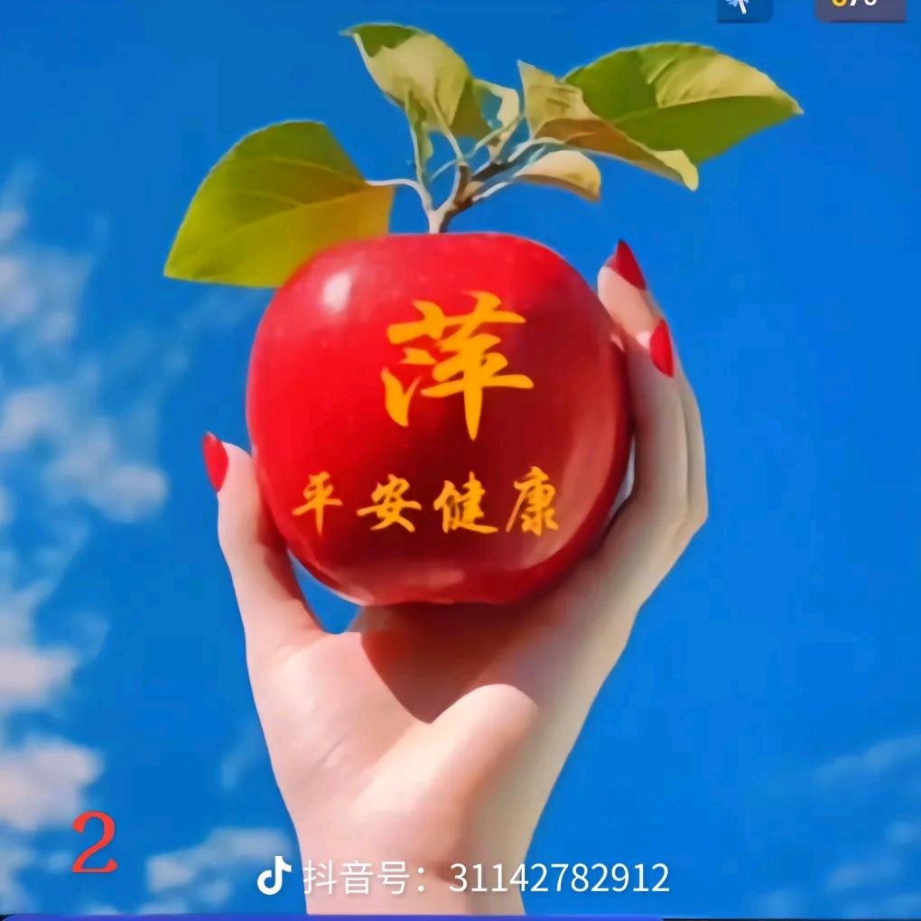 夜晚的星光