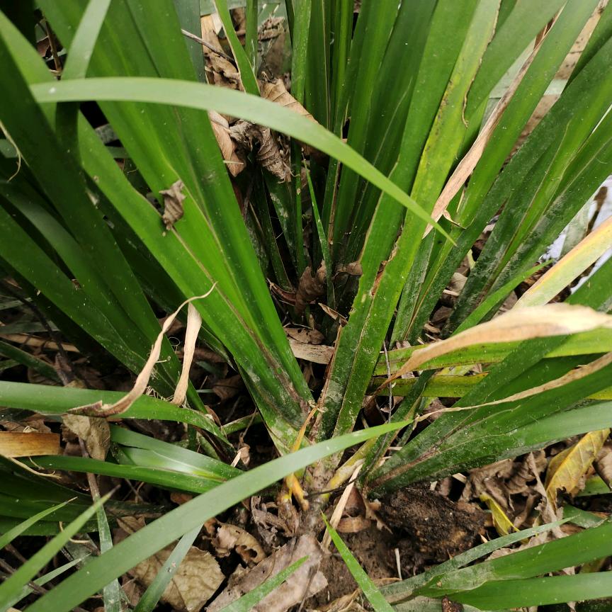 各种药财 守够