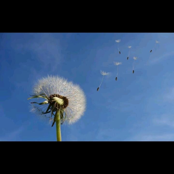 …………～沉默）