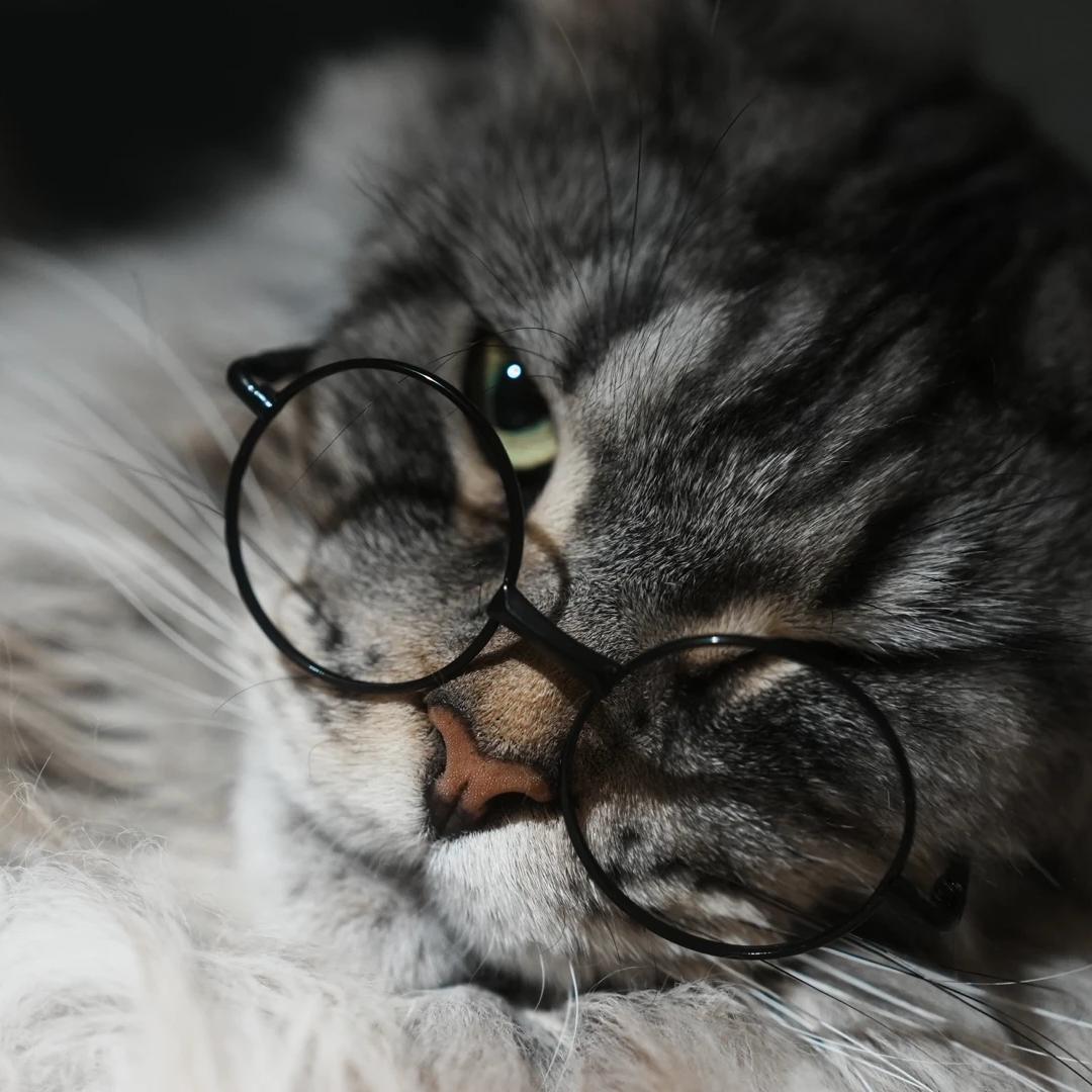 柠檬味提拉米苏