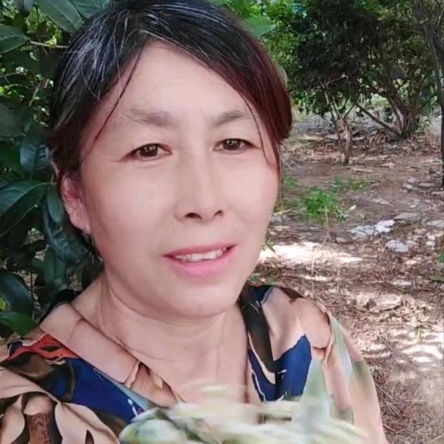 农村珍姐