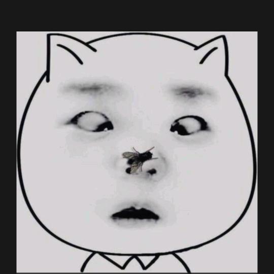CJY