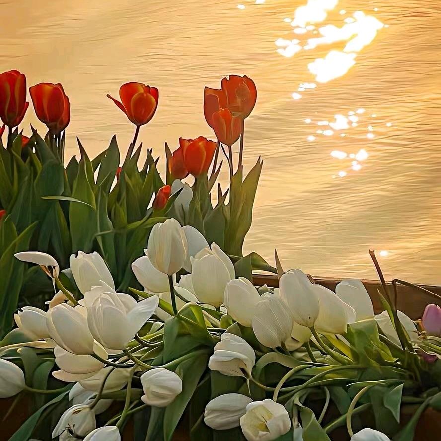 🍀🍀幸运🍀🍀