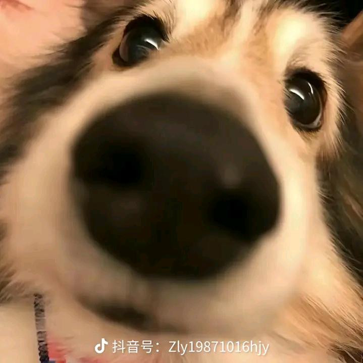 41.