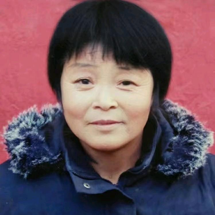 凤琴