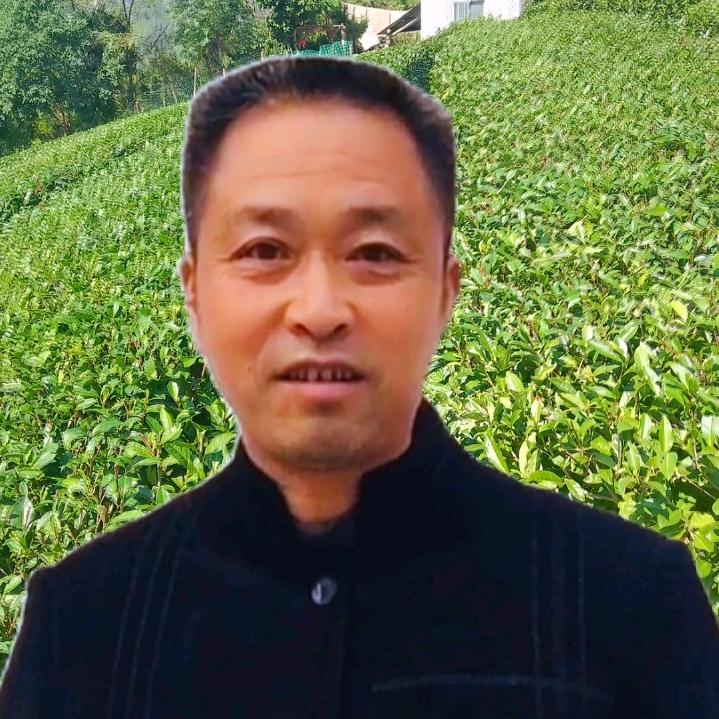 园林美容（特效剪辑）