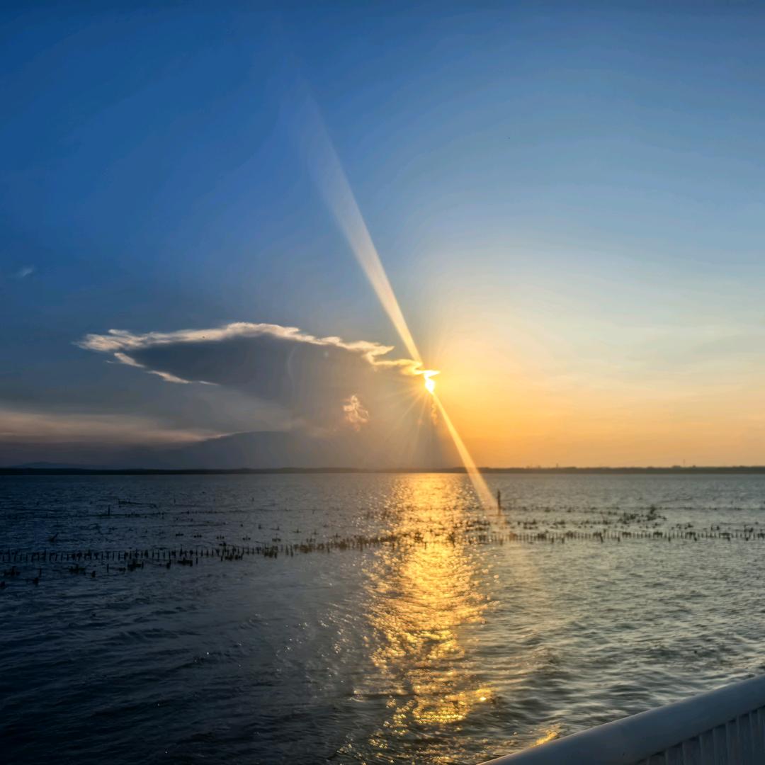 团子不圆不许说