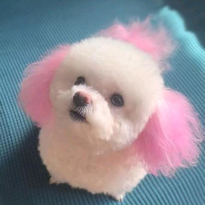向幸福出发