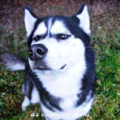 my