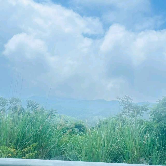 你是我在人间寻到的宝藏
