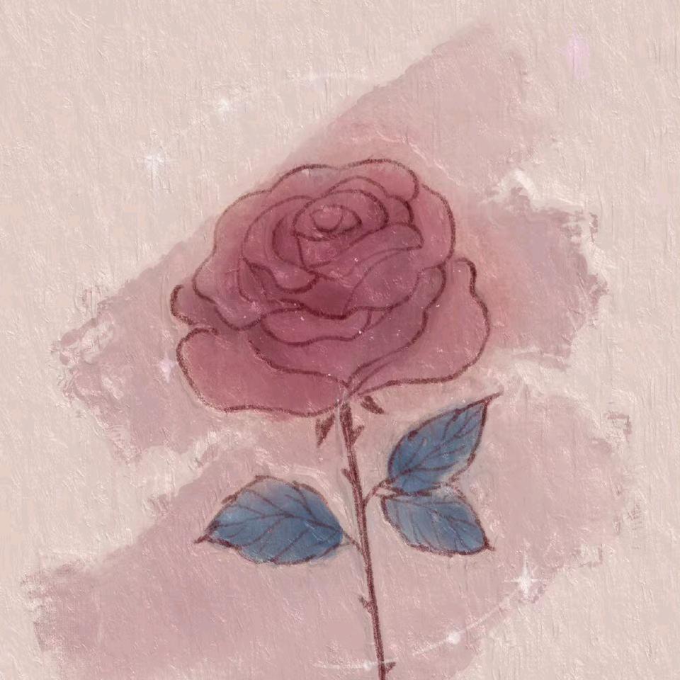 日月（拯救发际线版）