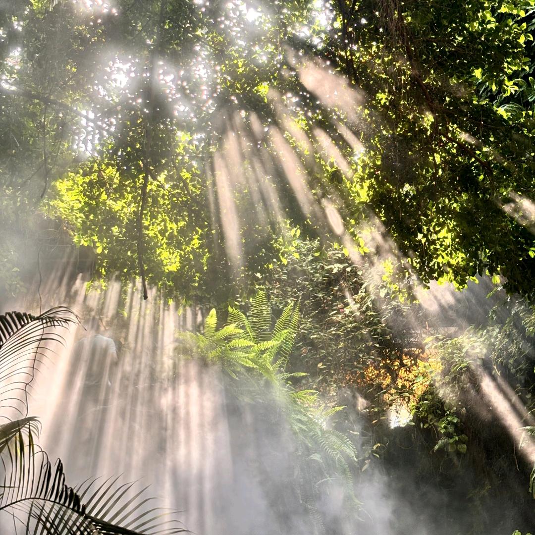 晨星(ง °Θ°)ว