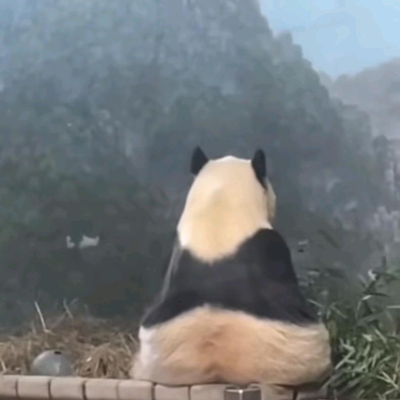 小可源！🌹❤️