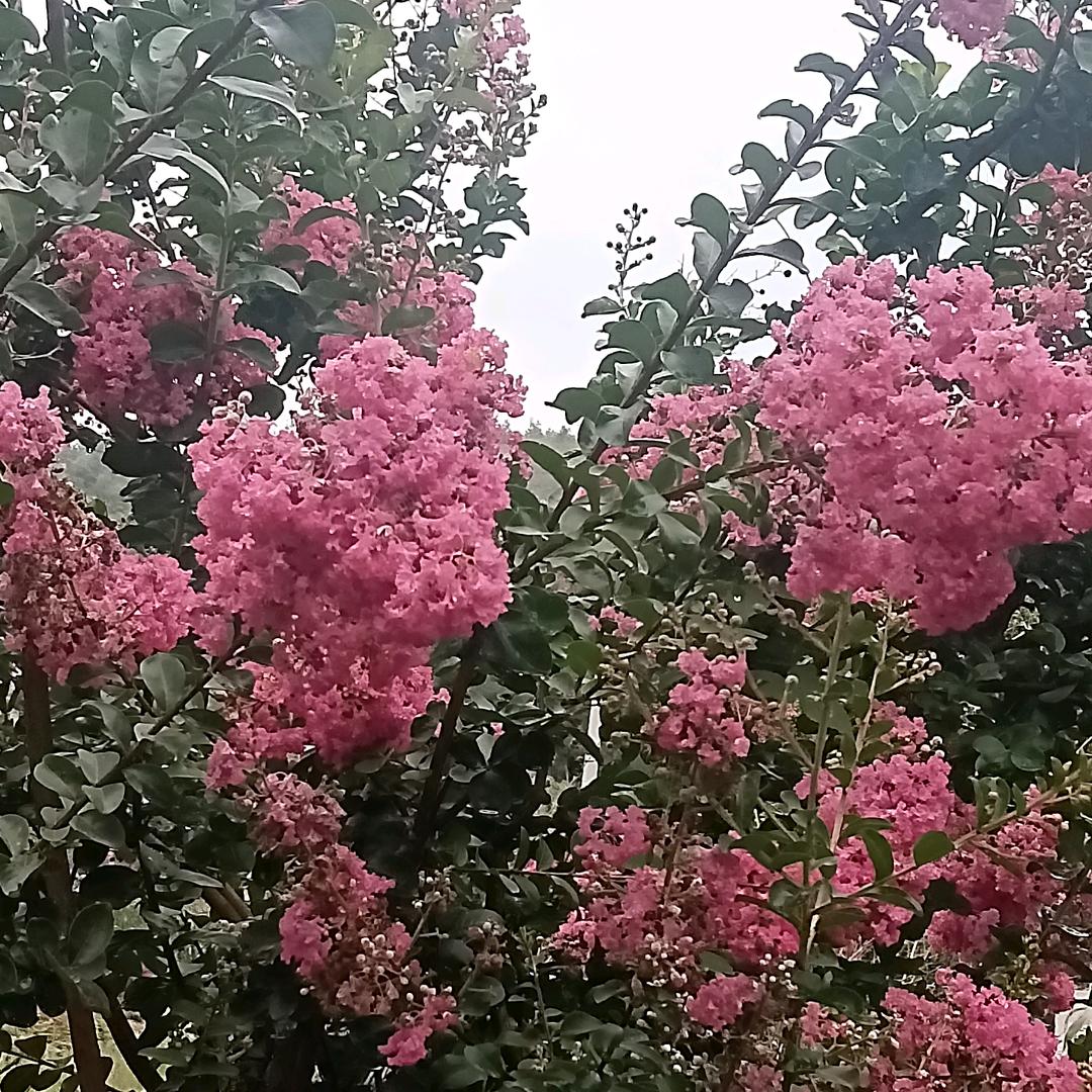 用户2362372381468m